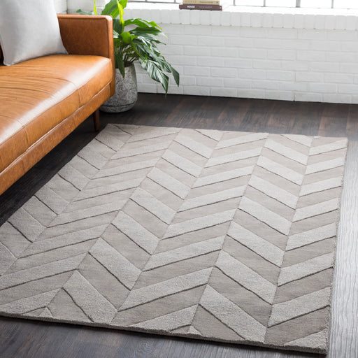 Surya Rug Co. Central Park Taupe Rug | Taupe Rugs | Rugs Done Right 