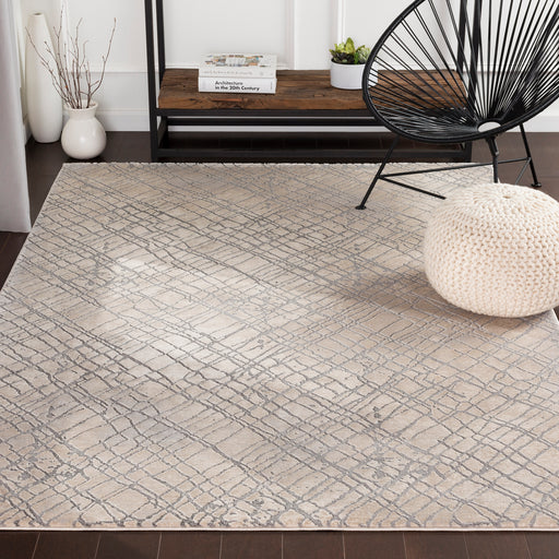 Transitional Surya Rug Co. Tibetan Taupe Rug | Taupe Rugs | Rugs Done Right 