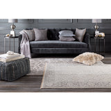 Surya Rug Co. Theodora THO-3003 Taupe Rug