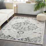 Traditional Surya Rug Co. Harput Light Grey Rug | Indoor Rugs | Rugs Done Right 