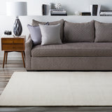 Rectangular Surya Rug Co. Mystique Ivory Rug | Indoor Rugs | Rugs Done Right