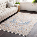 Traditional Surya Rug Co. Ephesians Blue Rug | Outdoor Rugs | Rugs Done Right 