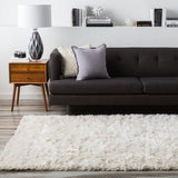 Surya Rug Co. Ashton ASH-1300 Ivory Rug