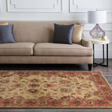 Traditional Surya Rug Co. Caesar Beige Rug | Indoor Rugs | Rugs Done Right 