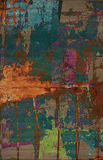 Tibet Rug Company 100 CT w/ Silk Abstract Multi Rug