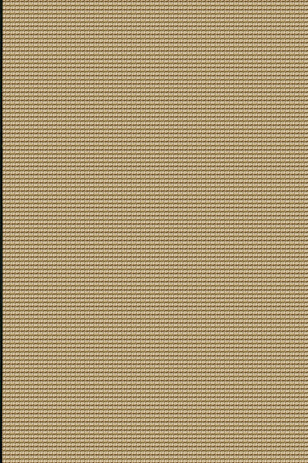 chandra bay bay black tan rug