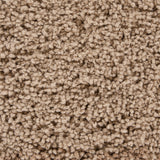 chandra bella bel 51401 tan rug