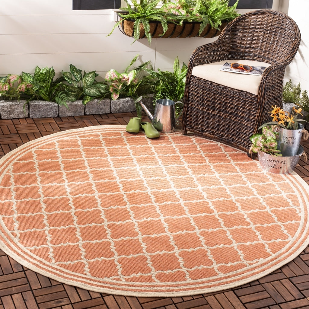 safavieh clearance beach house bhs121p rust rug