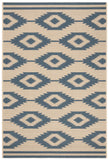 Safavieh Clearance Beach House BHS171M Blue Rug
