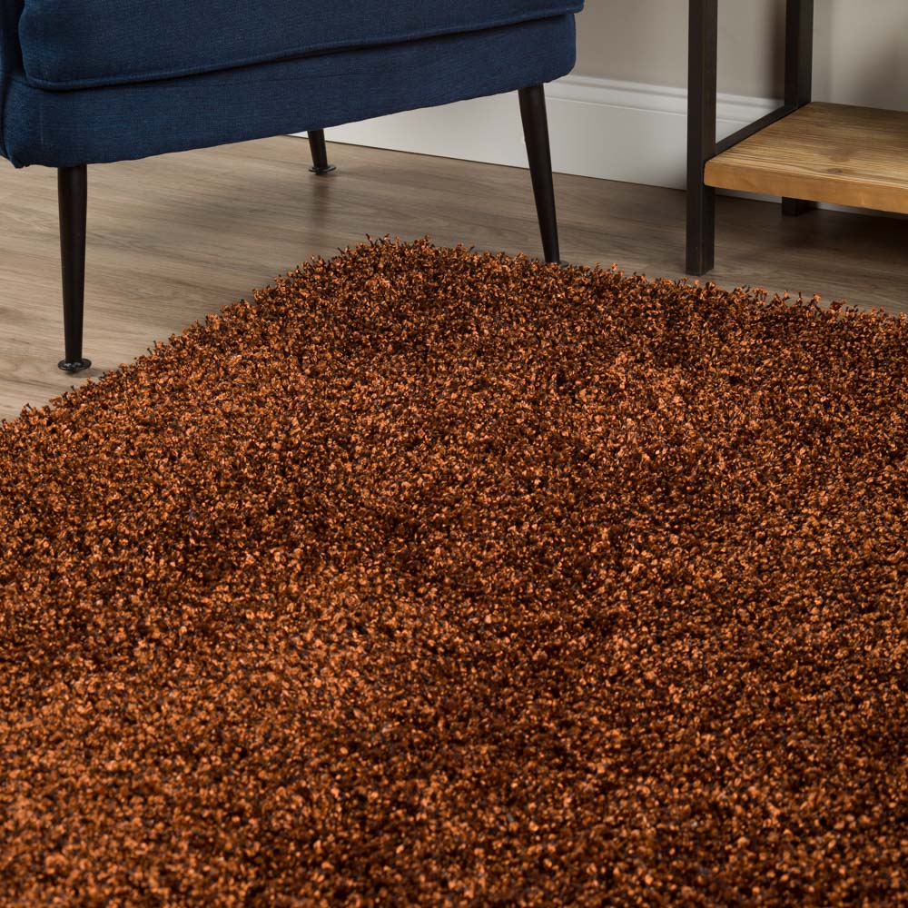 Dalyn Clearance Belize BZ100 Paprika Rug Rugs Done Right