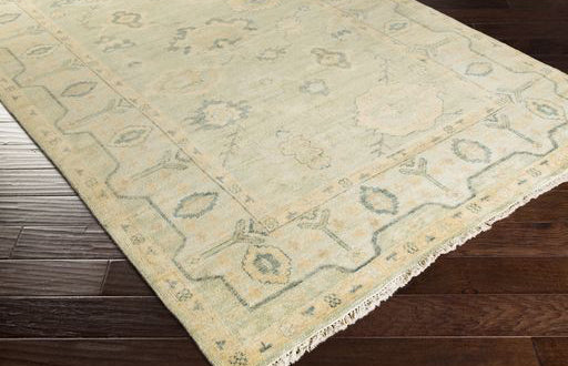 Surya Rug Co. Hillcrest HIL-9017 Olive Rug