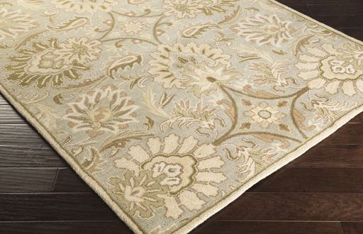 Surya rug co. | Ash Grey rug | Caesar | rugs done right