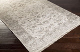 Surya Rug Co. Theodora THO-3003 Taupe Rug