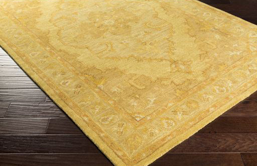 Surya rug co. | gold rug | Middleton | rugs done right
