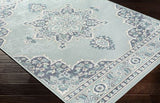Surya Rug Co. Alfresco Teal Rug | Alfresco Rugs | Rugs Done Right 