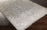 Surya Rug Co. Theodora THO-3001 Taupe Rug