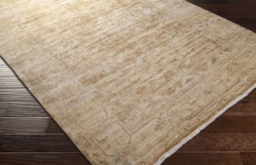 Surya Rug Co. Hillcrest Biscotti Rug | Traditional Rugs | Rugs Done Right 