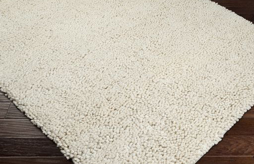 Surya rug co. | Aros | Winter white rug | rugs done right