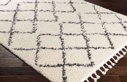Surya Rug Co. Berber Shag BBE-2300 Beige Rug
