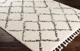 Surya Rug Co. Berber Shag BBE-2300 Beige Rug