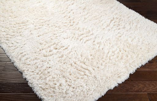 Surya Rug Co. Ashton ASH-1300 Ivory Rug