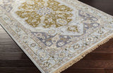 Surya Closeout Zeus ZEU-7823 Light Blue Rug