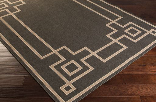 Surya Rug Co. Alfresco Charcoal Rug | Indoor Rugs | Rugs Done Right 