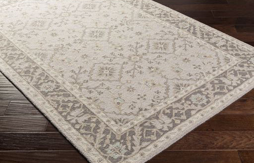 Surya Closeout Castille CTL-2000 Beige Rug