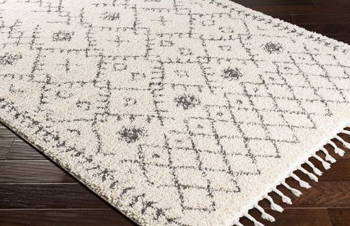 Surya Rug Co. Berber Shag Beige Rug | Beige Rugs | Rugs Done Right 