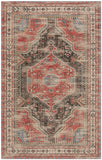 safavieh clearance clv classic vintage clv308q red rug