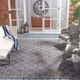 Safavieh Clearance Courtyard CY8964-37621 Black Rug
