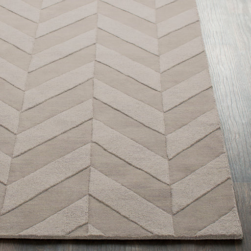 Surya Rug Co. Central Park Taupe Rug | Taupe Rugs | Rugs Done Right 