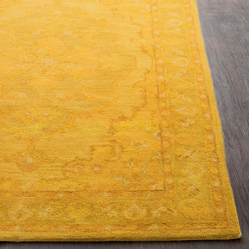 Surya rug co. | gold rug | Middleton | rugs done right