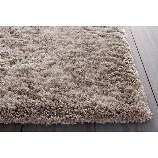 Surya rug co. | Taupe rug | grizzly | rugs done right