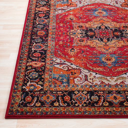 Surya Serapi Red Rug | Indoor Rugs | Rugs Done Right