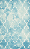 Safavieh Clearance Dip Dye DDY535D Turquoise Rug