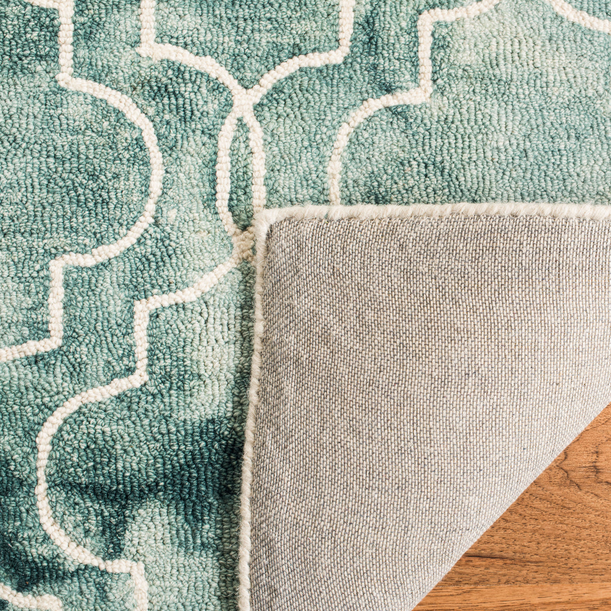 Safavieh Clearance Dip Dyes DDY676Q Green Rug