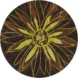 chandra dharma dha 7501 brown rug