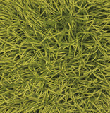 chandra duke duk 20900 green rug