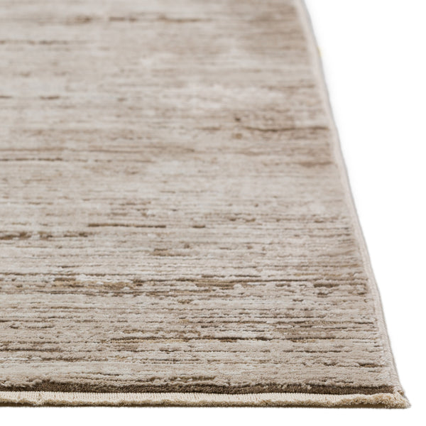 dalyn denizi dz1 mocha rug