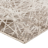 dalyn denizi dz4 taupe rug