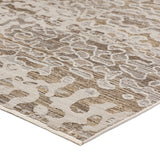 dalyn denizi dz6 mocha rug