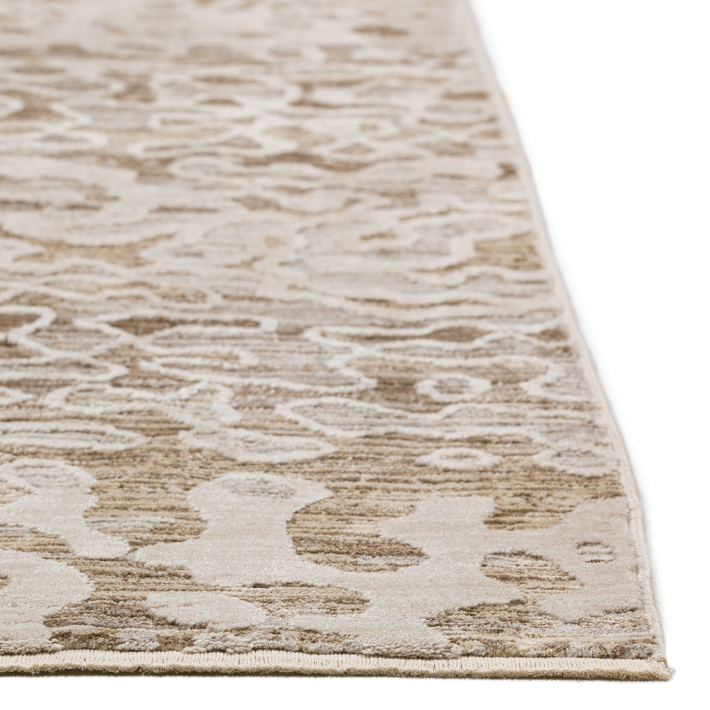 dalyn denizi dz6 mocha rug