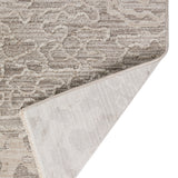 dalyn denizi dz6 silver rug