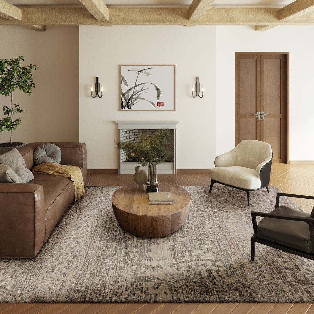 dalyn denizi dz6 silver rug
