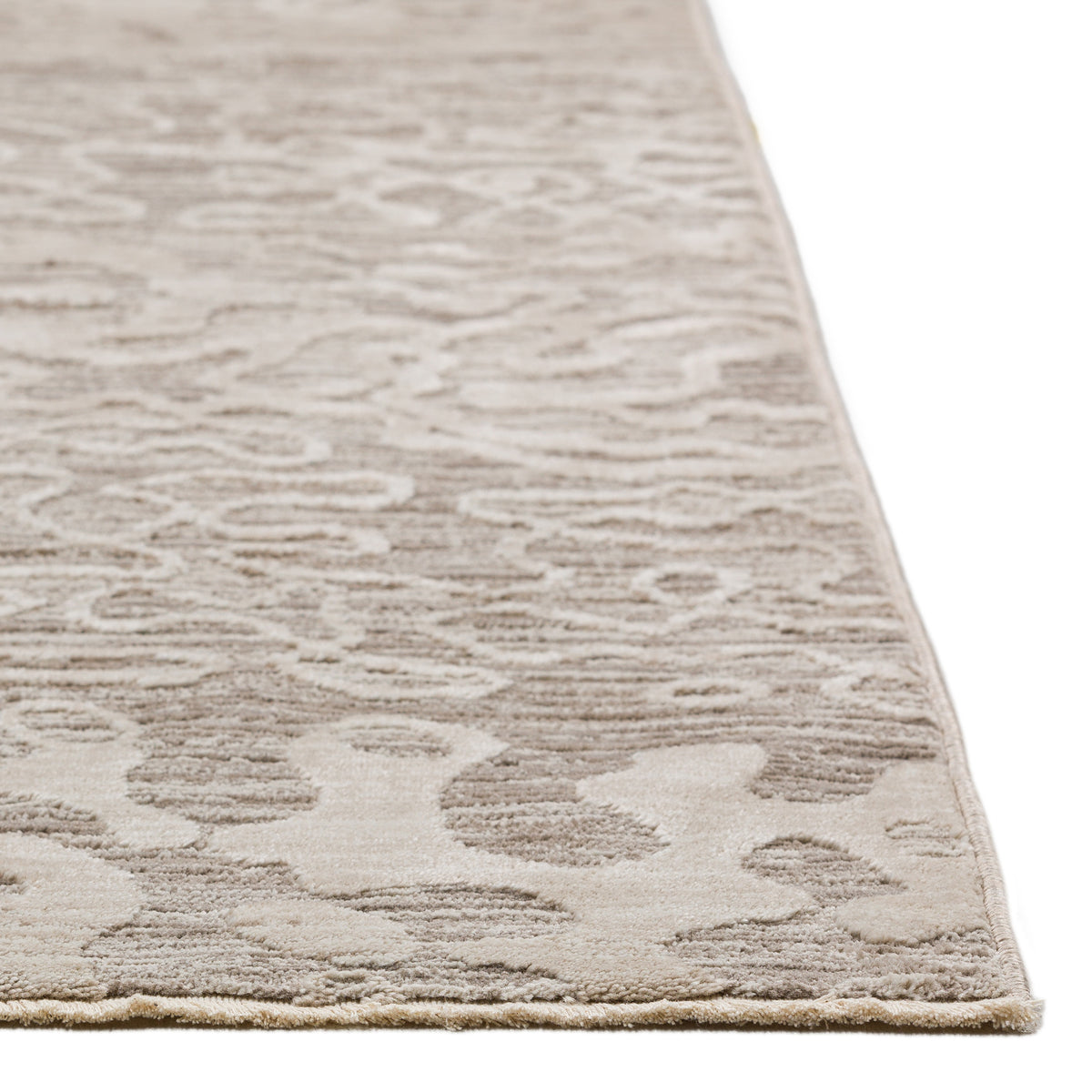 dalyn denizi dz6 silver rug