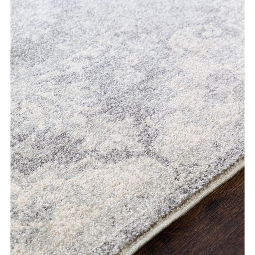 Surya rug co. | grey rug | harput | rugs done right