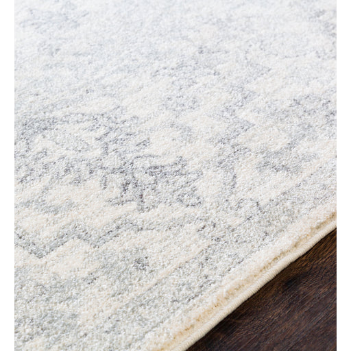 Surya rug co. | taupe rug | harput | rugs done right
