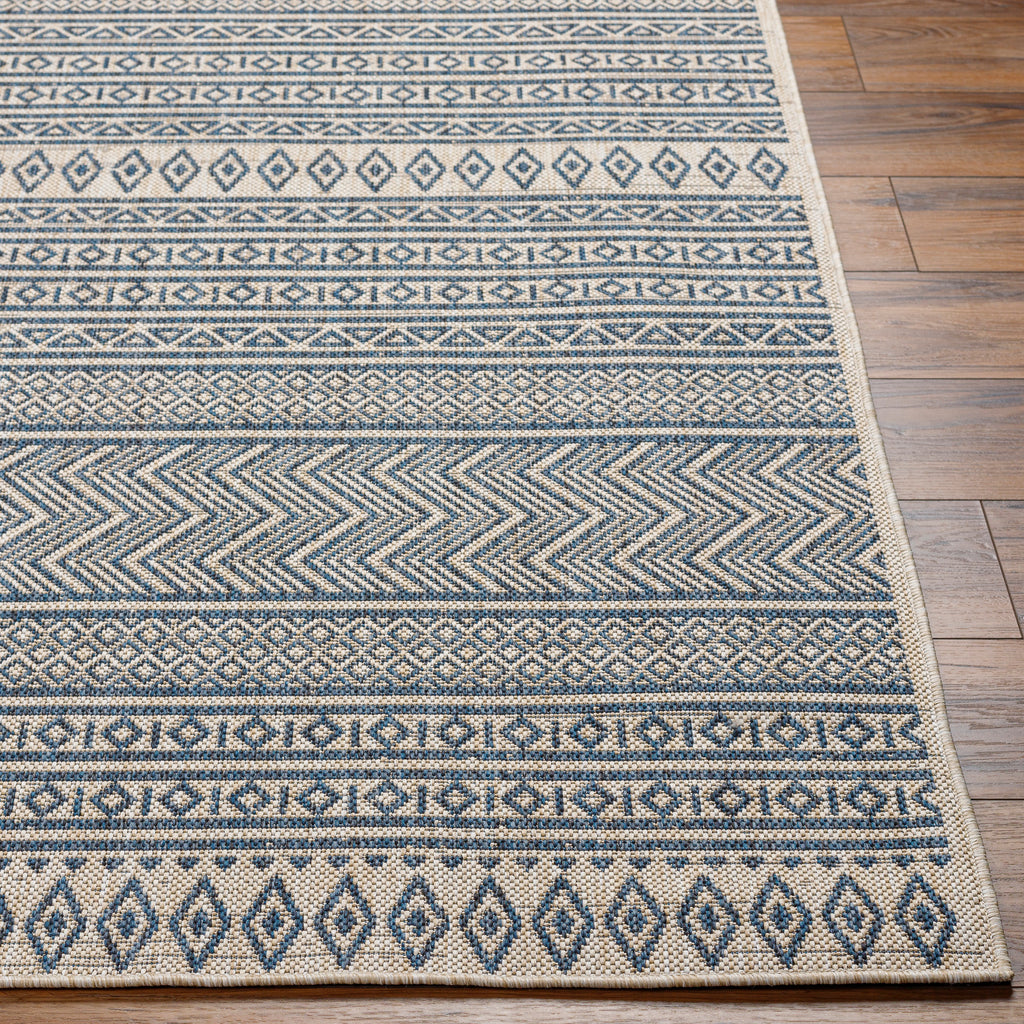 surya eagean eag 2428 taupe rug