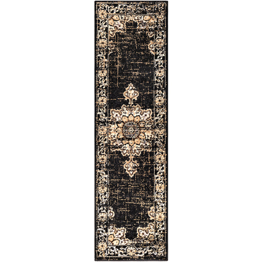 Surya Paramount PAR1089 Brown Rug